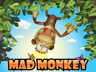 Slots madmonkey intro 320x240 Casual Game Art