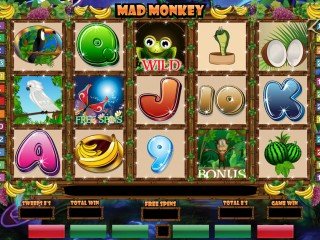 Slots madmonkey mainscreen 320x240 PC game development